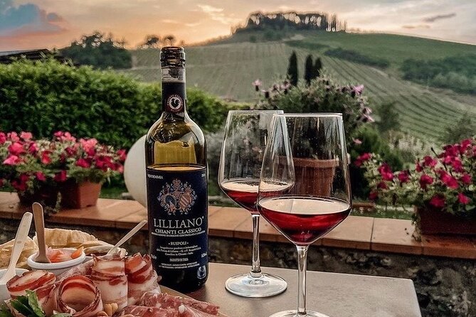 Chianti Classico wine Tour and Tasting - Logistical Details and Group Size