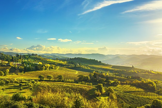 Chianti Experience Shore Excursion from Livorno Port - Visiting Greve in Chianti and the Piazza Matteotti