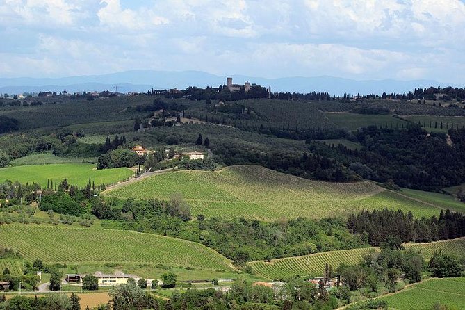 Chianti from Florence:PRIVATE Wine, Olive Oil Tasting in the Tuscan countryside - Return to Florence and Relaxed The Sum Up