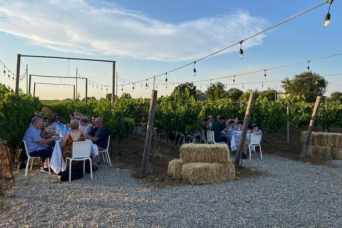 Chianti Half Day Wine Tour from Florence - Visiting the First Winery: Agricola Poggio Ai Laghi