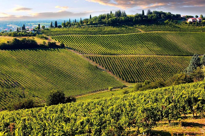 Chianti Half-Day Wine Tour in the Tuscan Hills Small Group from Lucca - Discover the Charm of a Small-Group Wine Tour in Lucca’s Tuscan Hills