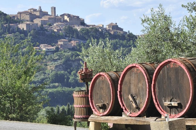 Chianti Half-Day Wine Tour in the Tuscan Hills Small Group from Lucca - Scenic Vineyard Walks and the Old Wine-Making Traditions