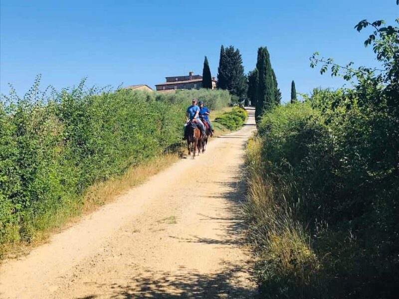 Chianti: Horseback Riding Tour through Vineyards - Riding Through Chianti’s Hills and Countryside