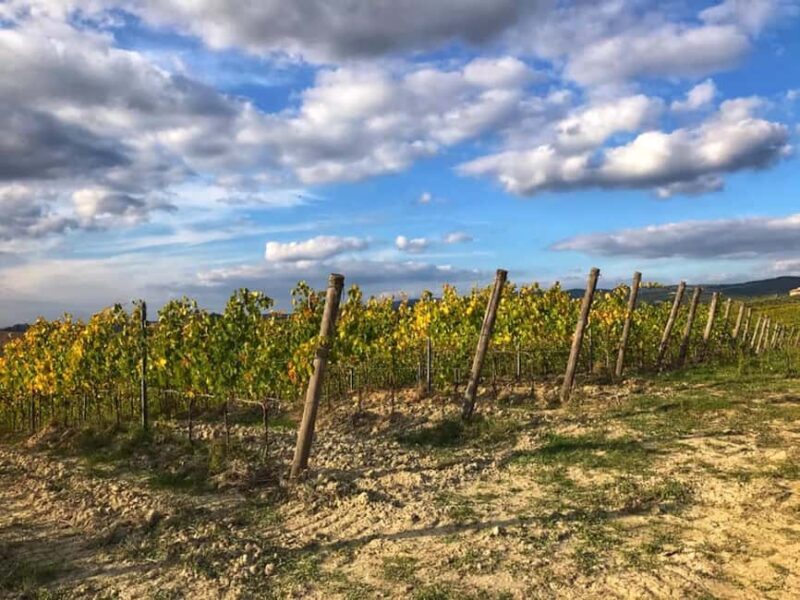 Chianti: Horseback Riding Tour through Vineyards - Why This Tour Stands Out in Chianti