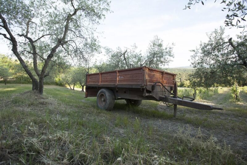 Chianti Organic wine tasting - Discover the Charm of Chianti on an Organic Wine Tasting Tour