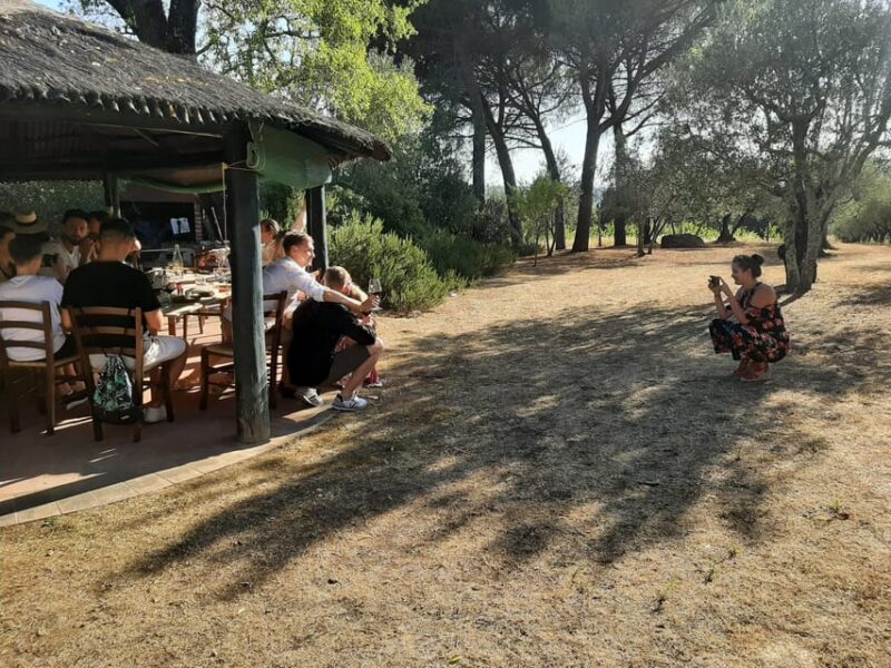 Chianti Organic wine tasting - Overall Value and Suitability