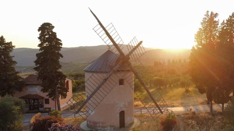 Chianti Rufina: Discover the tradition of extra virgin olive oil and organic wines - Exploring Tuscany’s Vineyards and Olive Groves