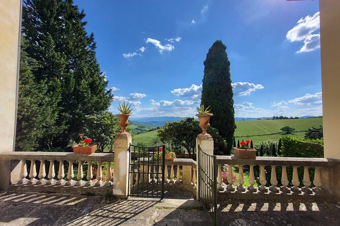 Chianti Rufina Lunch and Wine Tasting Experience - Value for Money and Booking Info