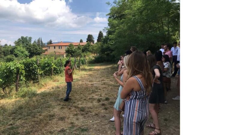 Chianti Rufina: Organic and biodynamic winery tour with tasting - Flexible Cancellation and Clear Pricing Make Planning Easy