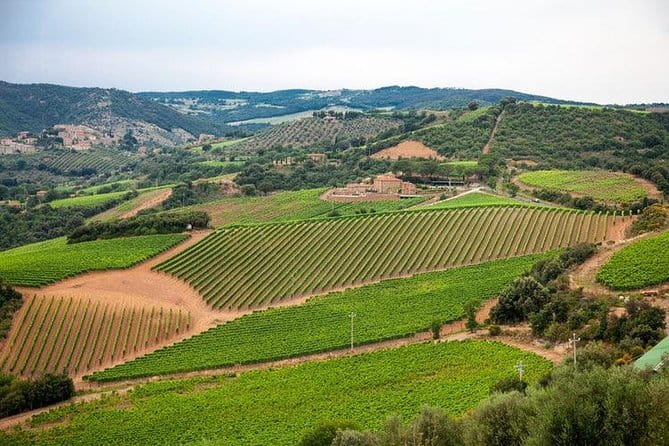 Chianti, San Gimignano and Siena Full Day Trip with Wine Tastings - Practical Details: Transportation, Meeting Point, and Group Size