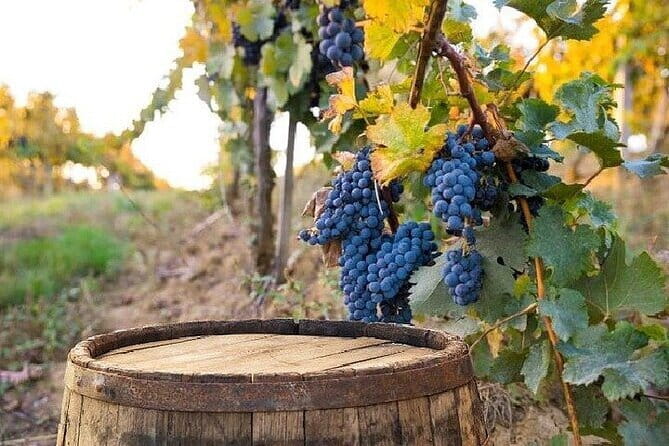 Chianti, San Gimignano and Siena Full Day Trip with Wine Tastings - What’s Included and What Costs Extra