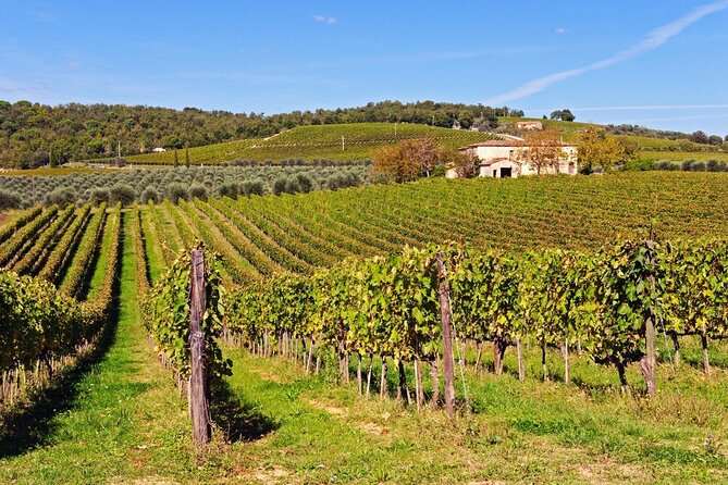 Chianti, SuperTuscan & San Gimignano - 2 wineries and light lunch - Why This Tour Stands Out