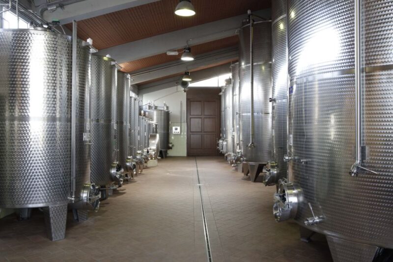 Chianti: Terre Di Perseto Winery Guided Tasting & Tour - The Tasting Room Atmosphere and Additional Tastings