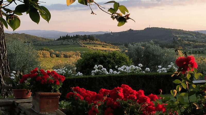 Chianti: Vineyard to Bottle Winery Visit with Tastings - Key Points
