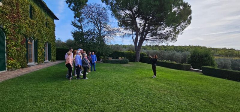 Chianti: Vineyard to Bottle Winery Visit with Tastings - Exploring the Vineyards and Olive Fields