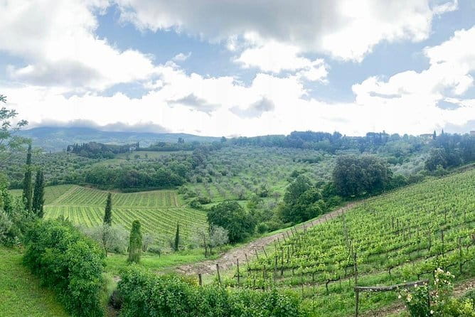 Chianti Vineyards Tours in Private Luxury Van from Florence - Flexibility with a Local Driver