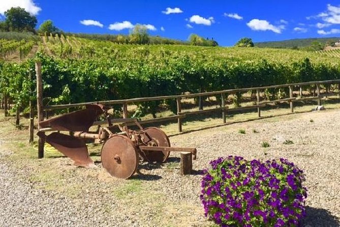 Chianti Wine and Vinci half day Small Group Tour from Montecatini Terme - Key Points