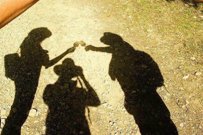 Chianti Wine and Vinci half day Small Group Tour from Montecatini Terme - Practical Aspects of the Tour