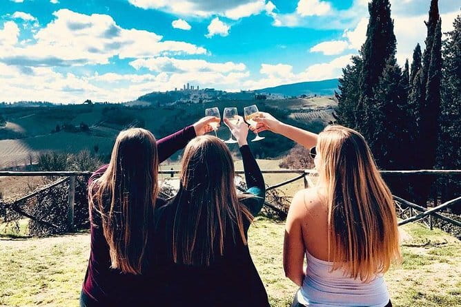 Chianti Wine Tour from Florence to San Gimignano with 2 Wineries - Visiting the Farm SantAppiano Winery