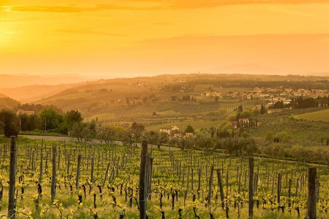 Chianti Wine Tour from Florence to San Gimignano with 2 Wineries - Savoring Chianti Vineyards on the Strada Statale 222