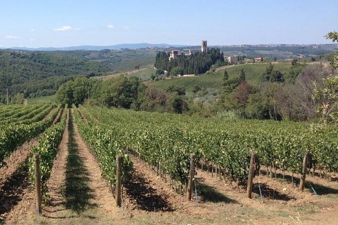 Chianti Wine Tour - Private Wine experience in Tuscany Countryside - Scenic Stops with Breathtaking Views