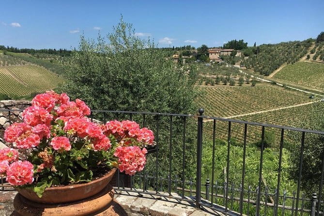 Chianti Wine Tour - Private Wine experience in Tuscany Countryside - Cultural and Historic Highlights