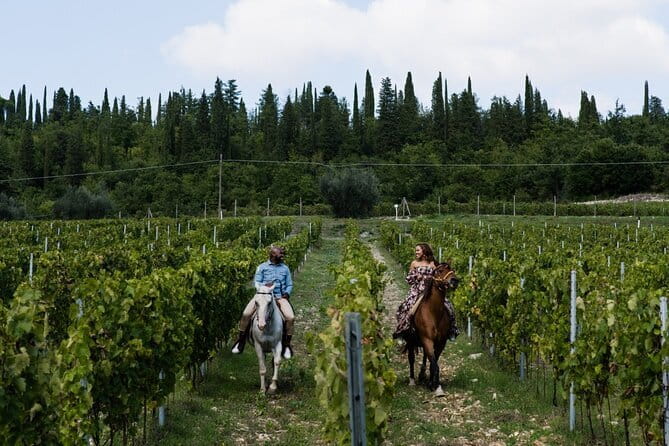 Chianti Wine Tour: Tuscan Reds - A Small Group for a Personalized Experience