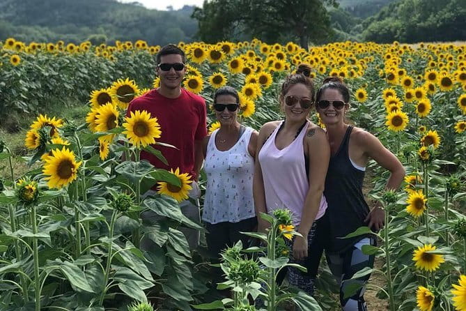 Chianti Wineries Tour with Tuscan Lunch and San Gimignano - Exploring San Gimignano: Medieval Charm and Panoramic Views
