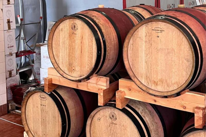 Chianti Winery + Brolio Castle Private Tour - Discovering the Heart of Chianti: Wineries and Vineyards