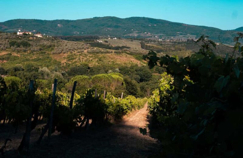 Chianti Winery Tour with VR & Blind Tasting near Florence - Virtual Reality Brings Tuscany’s Wine Heritage Alive