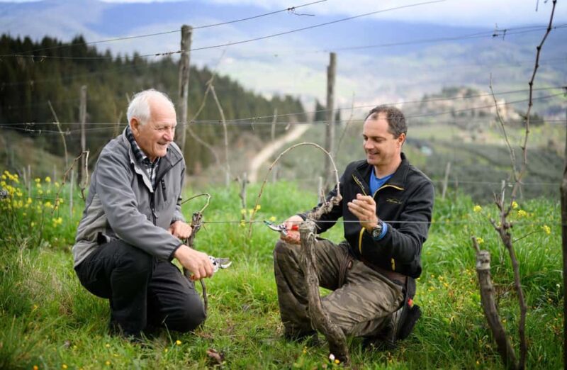 Chianti Winery Tour with Wine & Food Tasting near Florence - Key Points