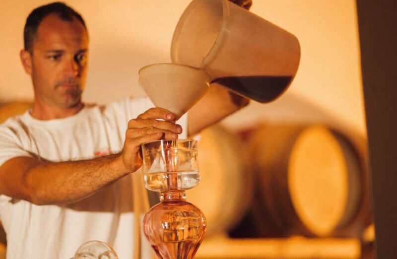 Chianti Winery Tour with Wine & Food Tasting near Florence - How Pacing and Timing Make This Tour Manageable