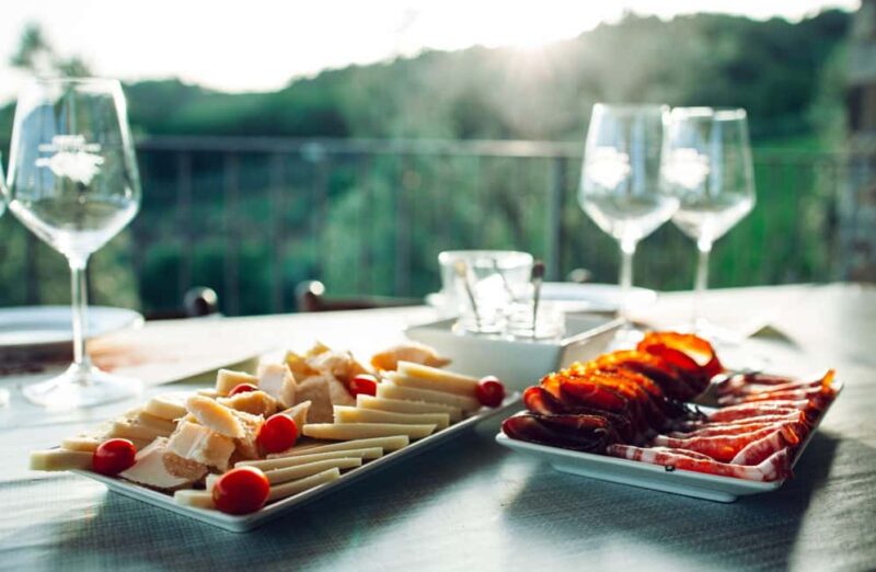 Chianti Winery Tour with Wine & Food Tasting near Florence - Accessibility and Suitability Considerations