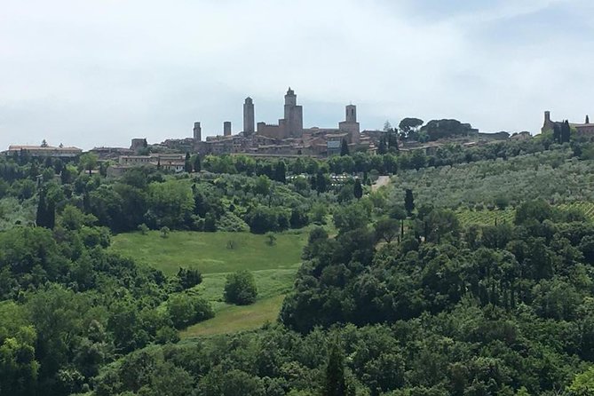 Chianti Wines and San Gimignano Tour from Florence (1 Winery) - Tasting Tuscany’s Finest at a Top Chianti Winery