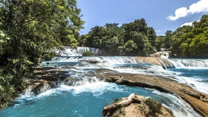 Chiapas: 4-Day Highlight Tour - Exploring Palenque’s Ancient Maya Ruins