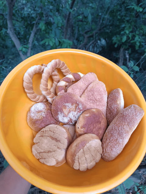 Chiapas: Immersive Zoque Culinary Experience - Discover the Authentic Zoque Culinary Experience in Chiapas