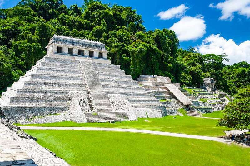 Chiapas: Palenque Archaeological Site Skip-the-Line Ticket - Encountering Wildlife in Palenque National Park