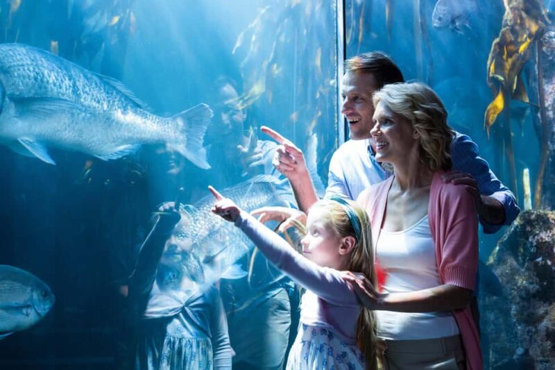 Chicago: 1-5 Day Attraction Pass with Shedd Aquarium - Discovering Chicago with the Attraction Pass