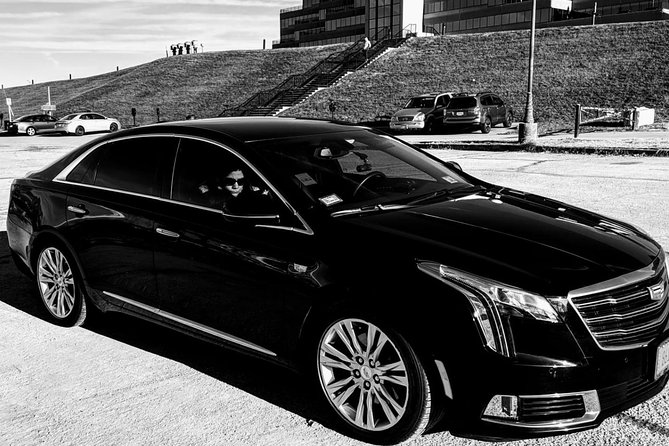 Chicago 6-Hour City Tour by Sedan - Museum Campus: Cultural Landmarks