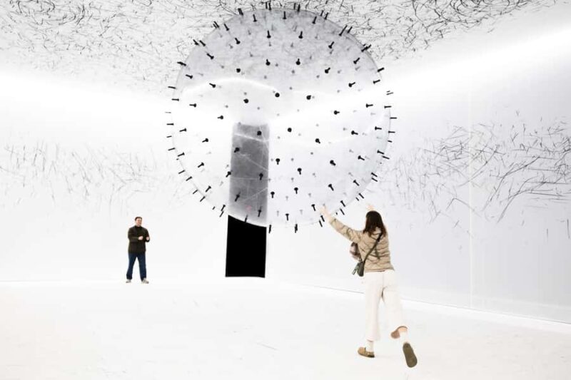 Chicago: Balloon Museum - EmotionAir - Entry Tickets - The Sum Up: A Refreshing Take on Art and Emotions in Chicago