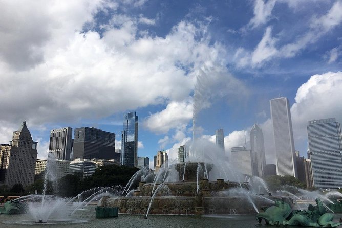 Chicago City Minibus Tour - Chicago City Minibus Tour: The Practical Choice