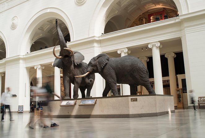 Chicago CityPASS® - Start Your Chicago Adventure at the Shedd Aquarium