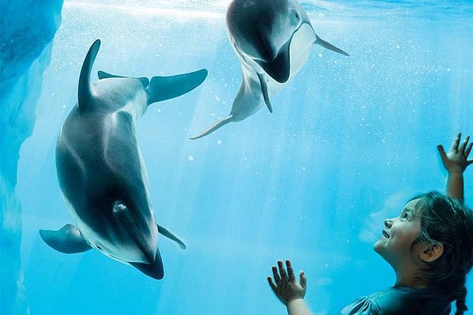 Chicago CityPASS® - The Museum of Science and Industry: Interactive Exhibits