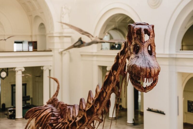 Chicago CityPASS®: Save up to 49% at 5 Top Attractions - The Architecture River Tour: Chicago’s Iconic Skyline from the Water