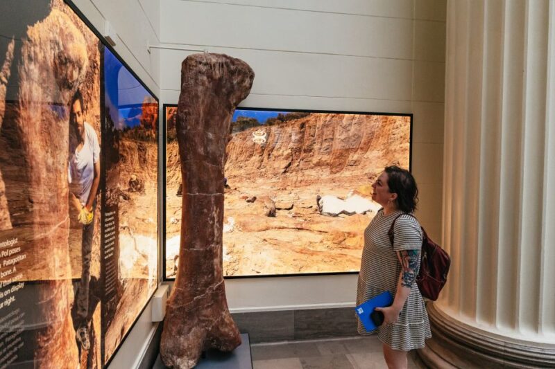 Chicago: Field Museum of Natural History Ticket or VIP Tour - Explore Chicago’s Iconic Natural History Museum for $29