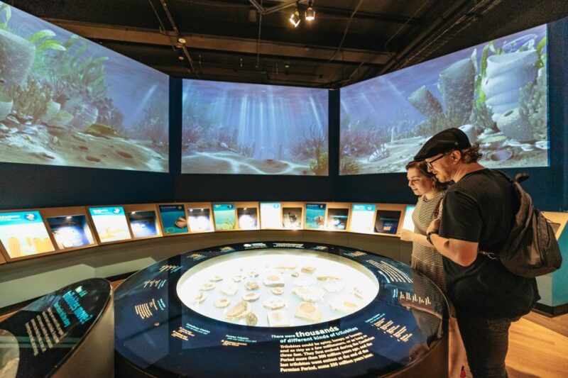 Chicago: Field Museum of Natural History Ticket or VIP Tour - Dive into the Museum’s Major Exhibits