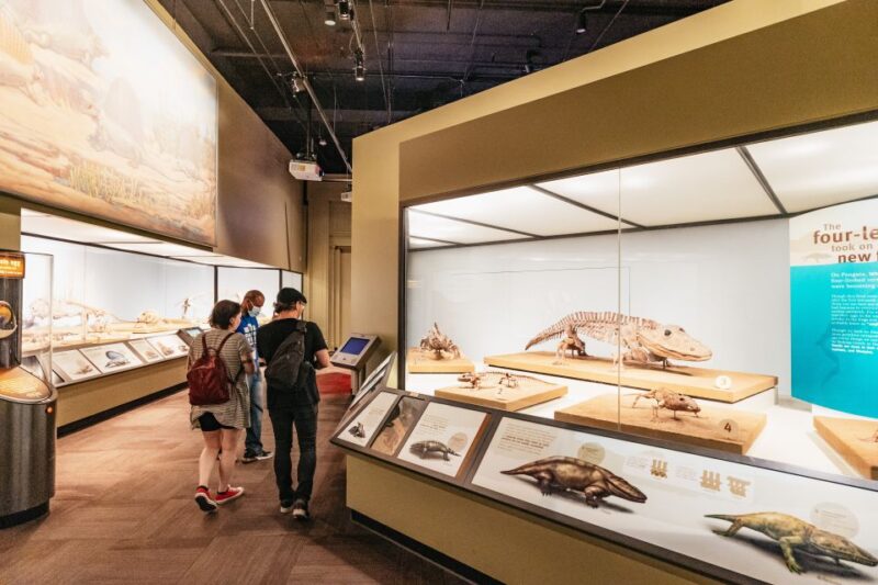 Chicago: Field Museum of Natural History Ticket or VIP Tour - Special Exhibitions and the All-Access Upgrade
