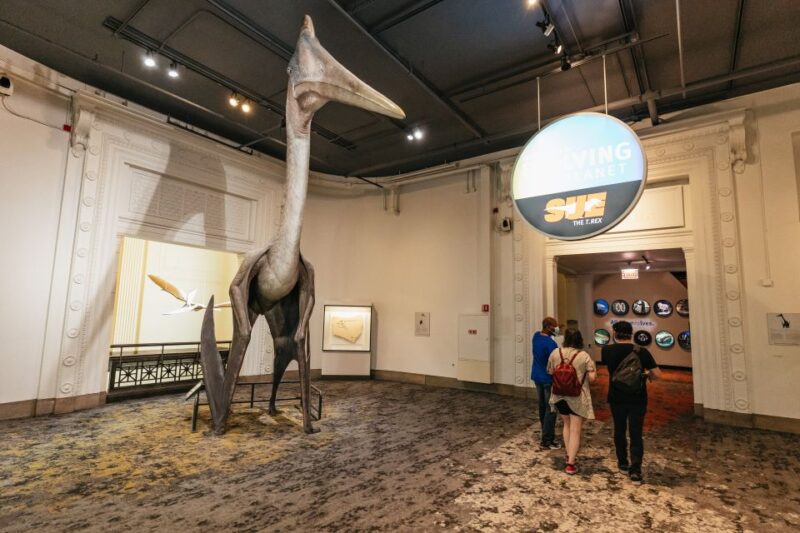 Chicago: Field Museum of Natural History Ticket or VIP Tour - Practicalities: Meeting Points, Accessibility, and Food