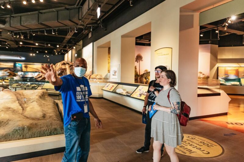 Chicago: Field Museum of Natural History Ticket or VIP Tour - Pacing, Crowd Levels, and Visiting Tips