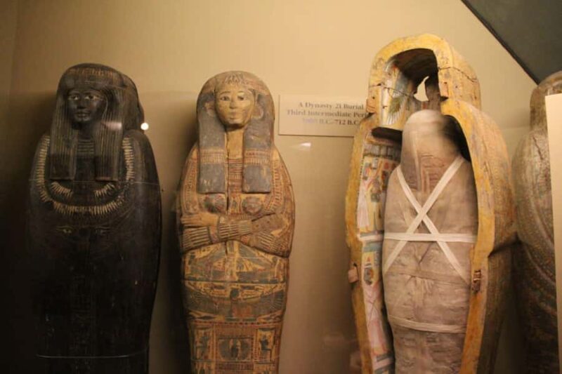 Chicago: Field Museum Ticket & Highlights Digital Tour - Inside Ancient Egypt: Mummies and Burial Artifacts